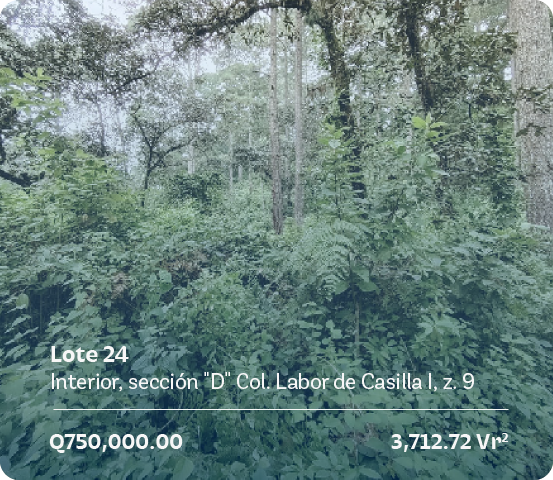 lote-24-seccion-d-casilla-a