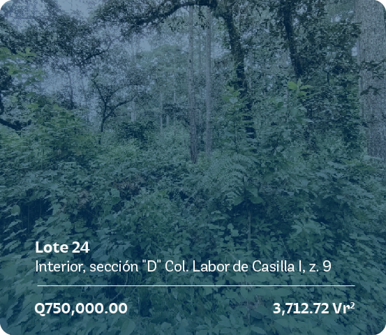 lote-24-seccion-d-casilla-a