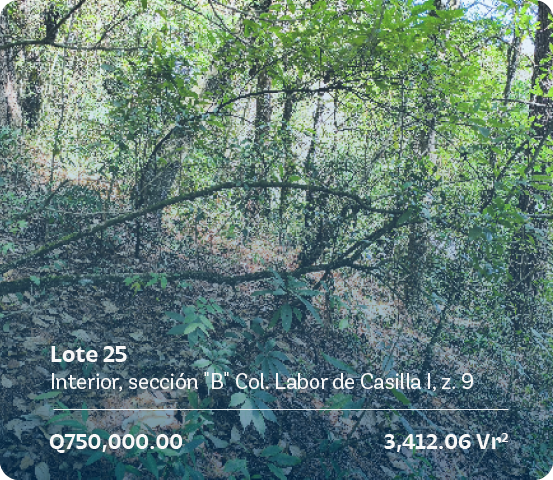 lote-25-seccion-d-casilla-a