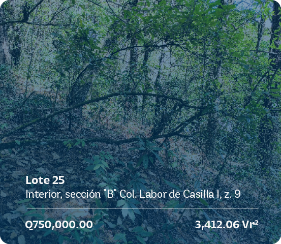 lote-25-seccion-d-casilla-a