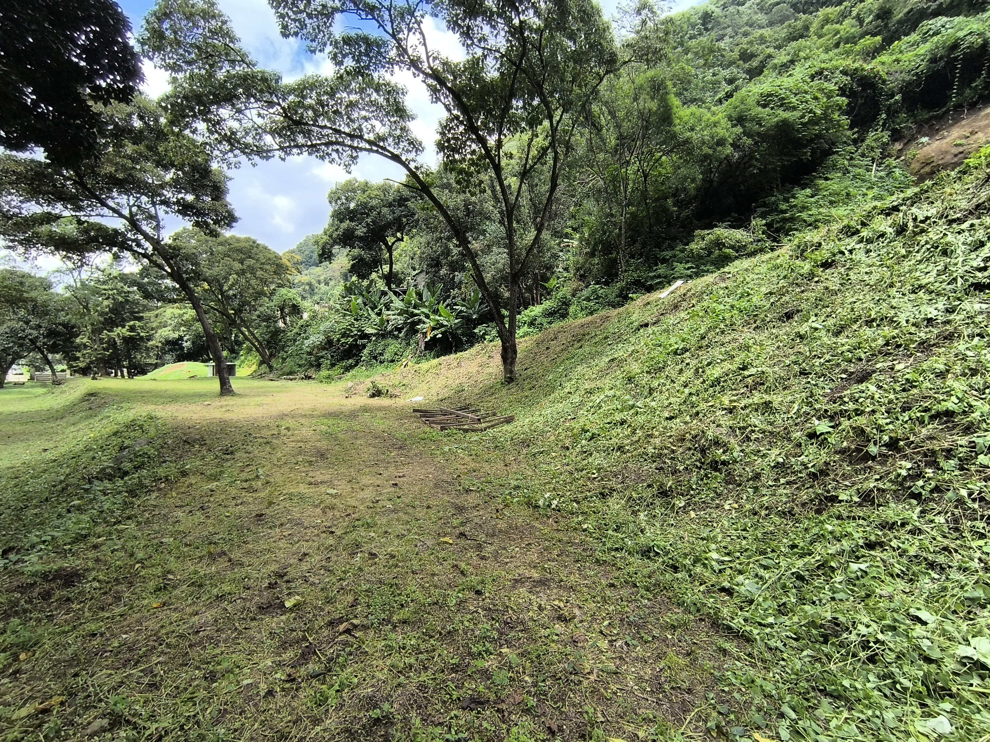 Terrenos y Fincas - Image 4