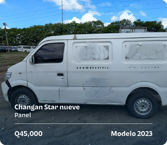 vehiculo-panel-star-1